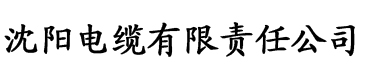 1024永久免费香蕉视频电缆厂logo